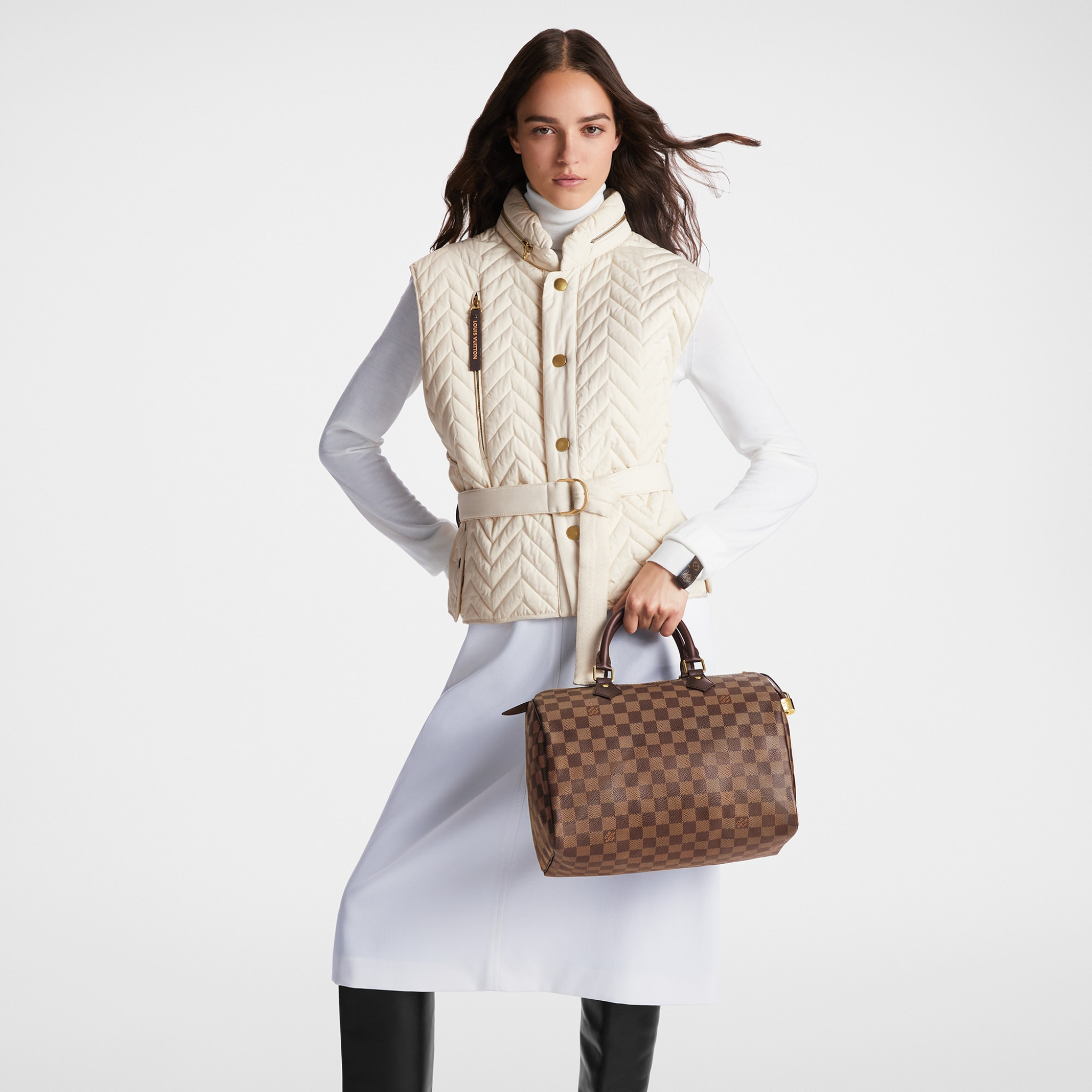 Louis Vuitton Speedy 30 Damier Ebene